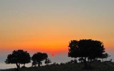 Wycieczka z Limassol do wąwozu Avakas Kanyon Mini Marathon